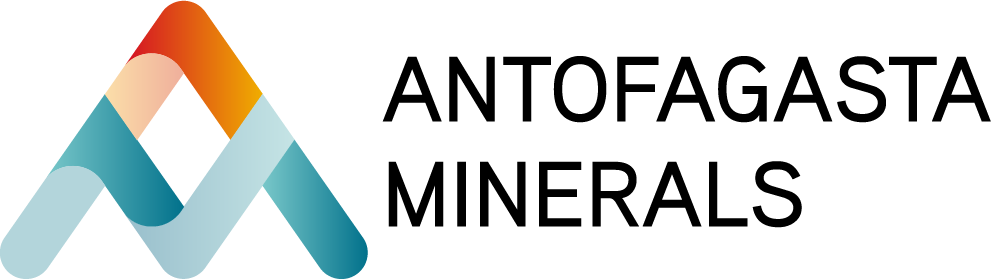 logo-amsa
